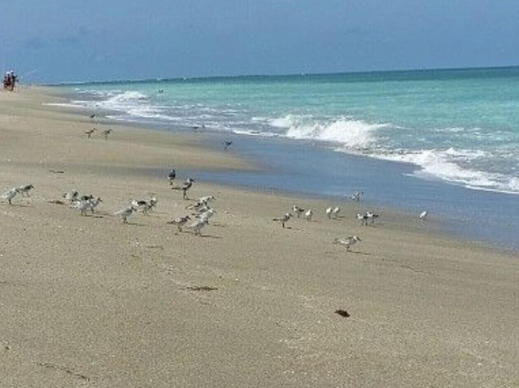 Excellent Beach Front Community, Golf Course, Tennis, Sunny Weather Year Round! Fort Pierce Exterior photo